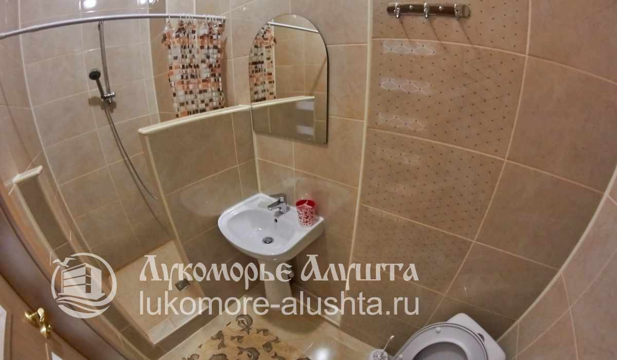 Санузел с душем и раковиной