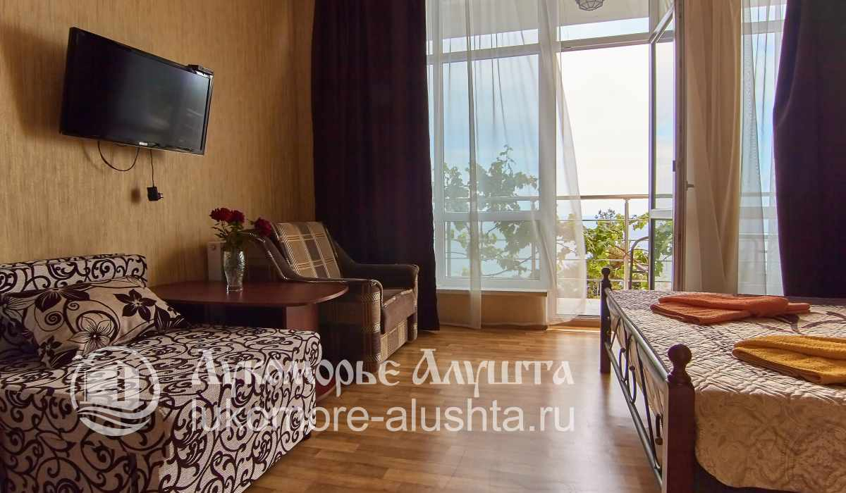 Просторная комната с балконом