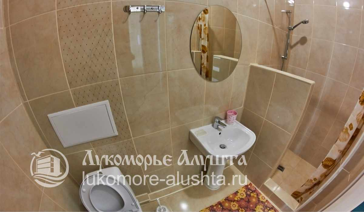 Санузел с душем и раковиной