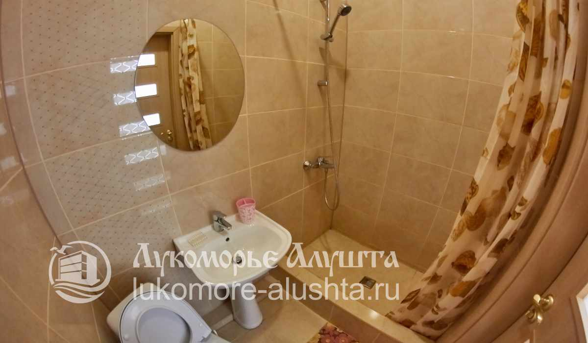 Санузел с душем и раковиной
